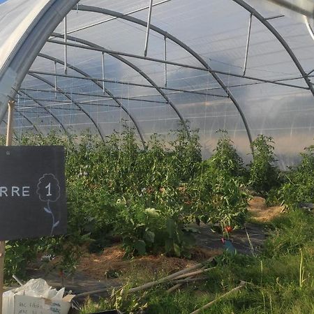 Eco-Gite A La Ferme D'Elles Saint-Andre-de-l'Epine Bagian luar foto
