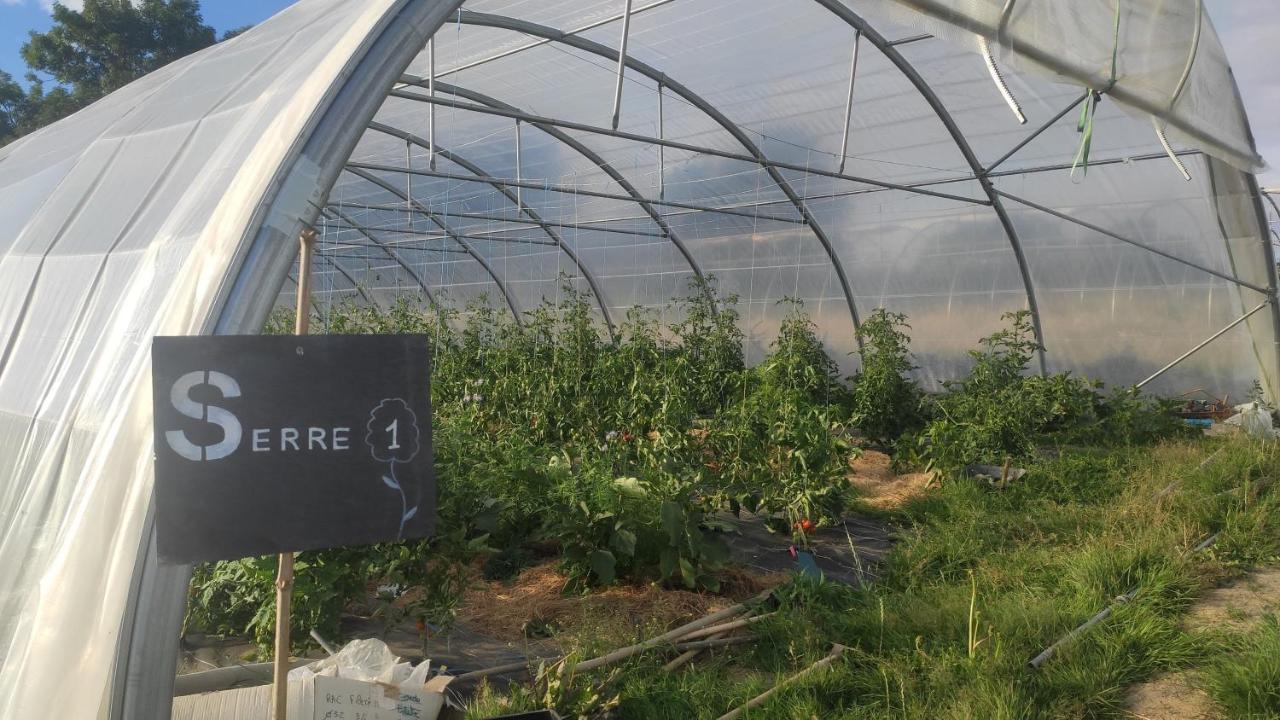 Eco-Gite A La Ferme D'Elles Saint-Andre-de-l'Epine Bagian luar foto